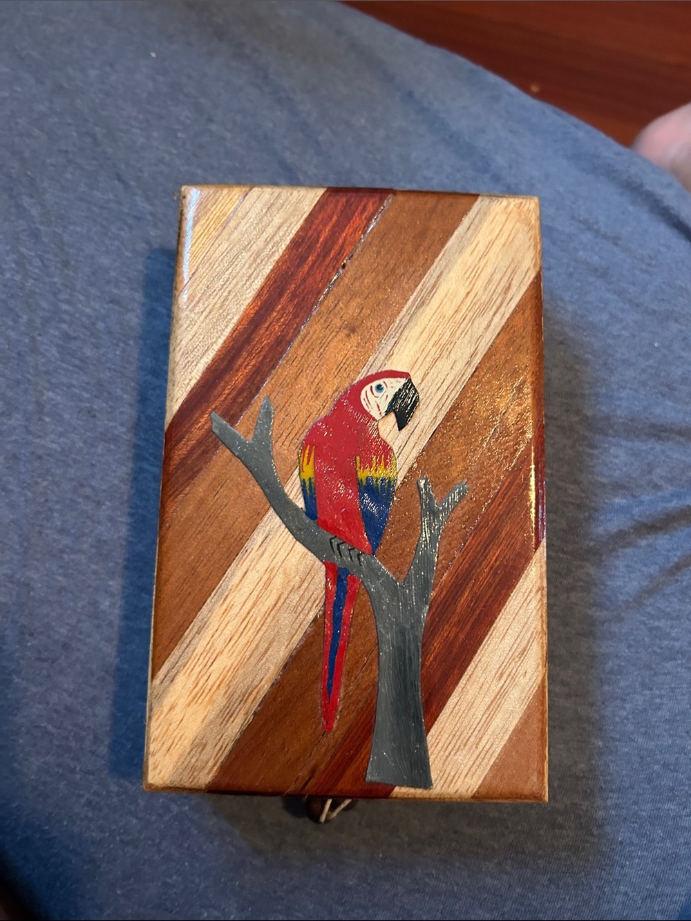 Handcrafted Wooden Parrot Box - Red Multicolor